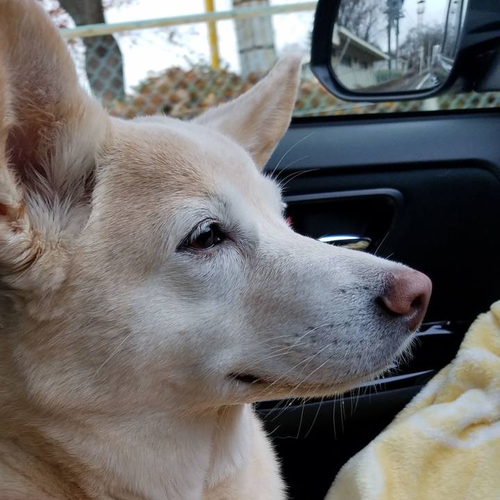 59da9dc0 807d 43b3 bcd0 91482bae5236 1576411109603