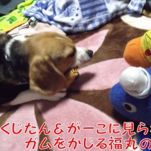 59dabad9 cb50 4ecb 9515 16df8fce6b47 1706914501961