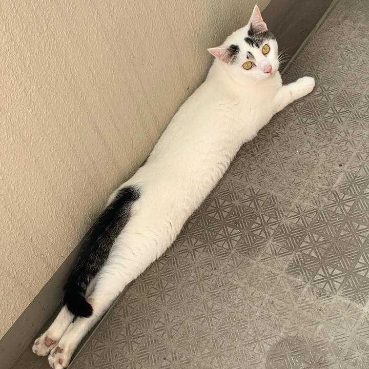 59dac6b2 d1c3 4b35 8fe7 cdbca6b0db58 1626852973855