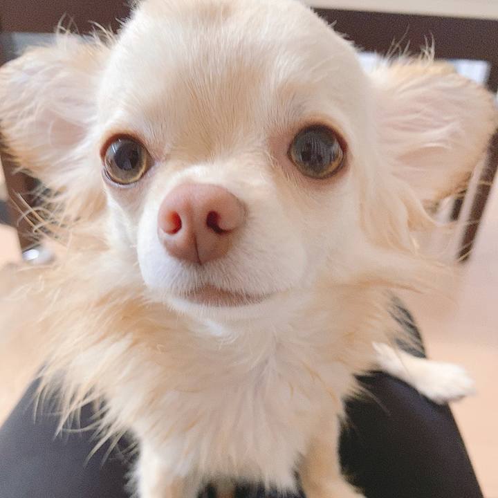 59daecfa be0c 4dae 94b8 556db90eed81 1618820889933