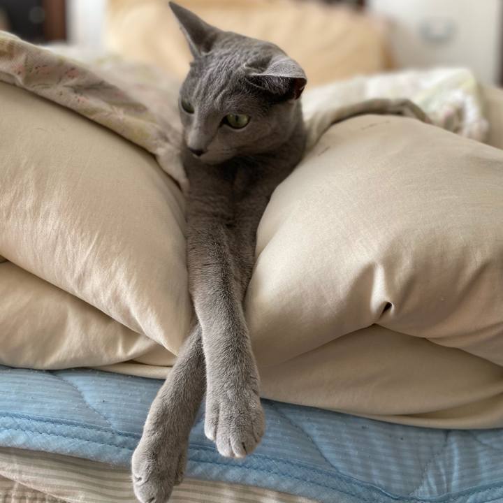 59db1914 d053 46b0 9fd2 58816b68dc68 1636682993847