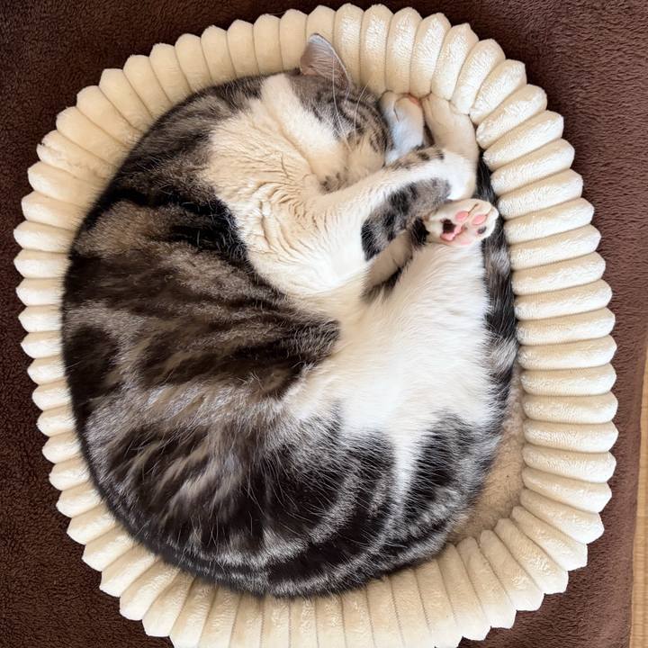 59db1b92 eb02 4e71 8578 68bfc8062401 1771213732522