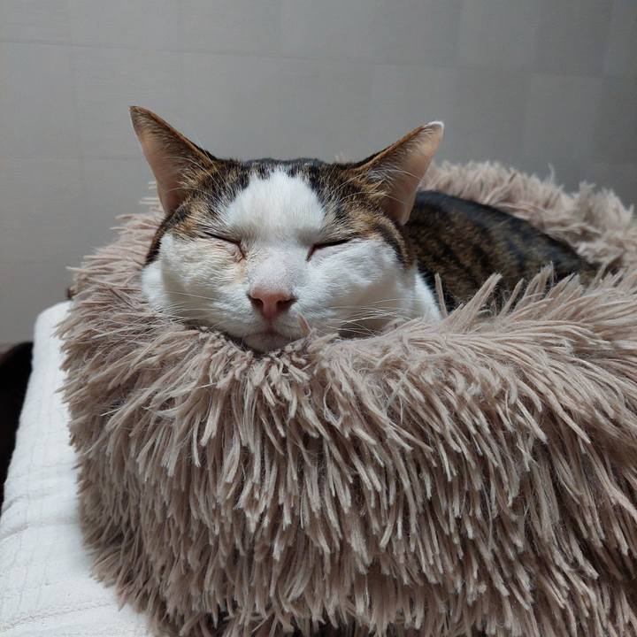 59db3165 8563 48be 92bc 4791500d18dd 1706051166677