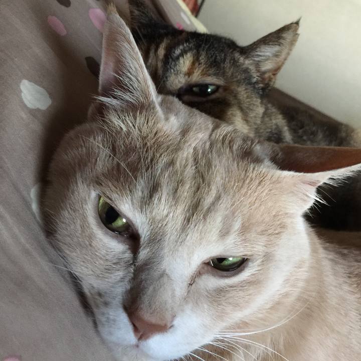 59db6539 867e 4f72 bac0 00e83c3813f2 1627167686687