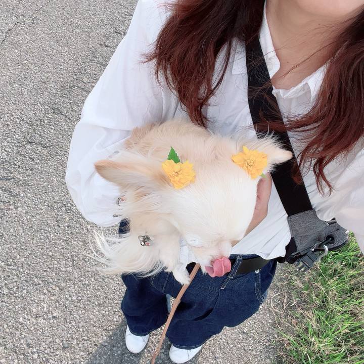 59dc6687 7239 4290 b108 28c3d8628d1e 1713170607417