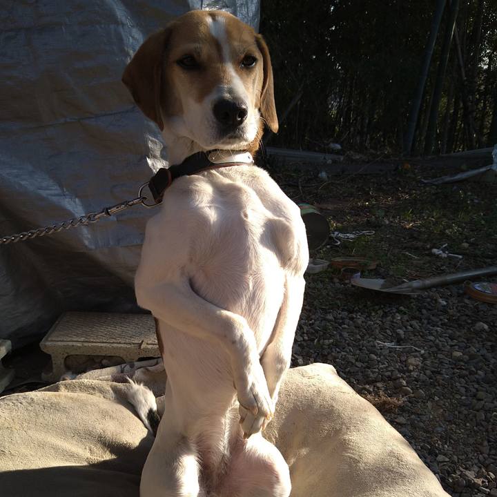 59dc834c c762 432e 89b2 7071202f4b62 1641803595645