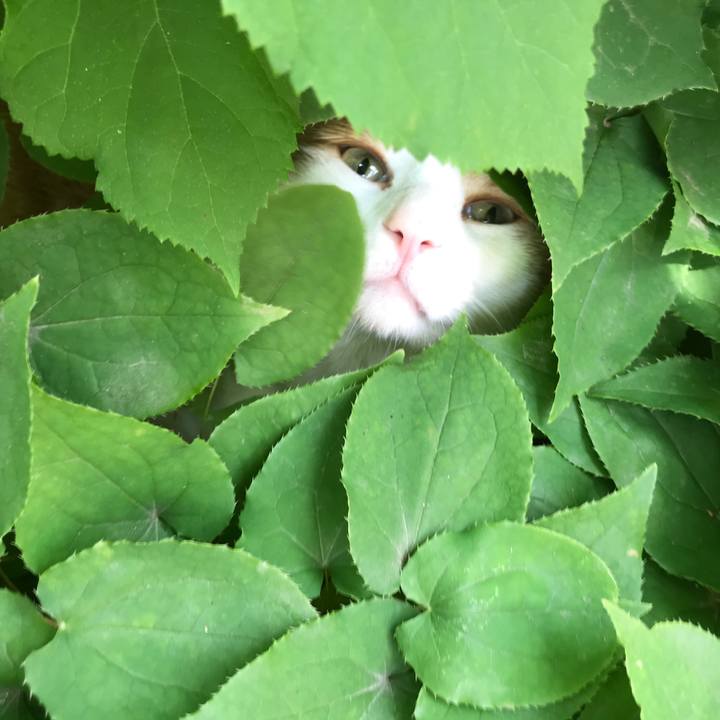 59dcb428 c46d 40a5 a4dd 3c31b6b939f0 1528428632272