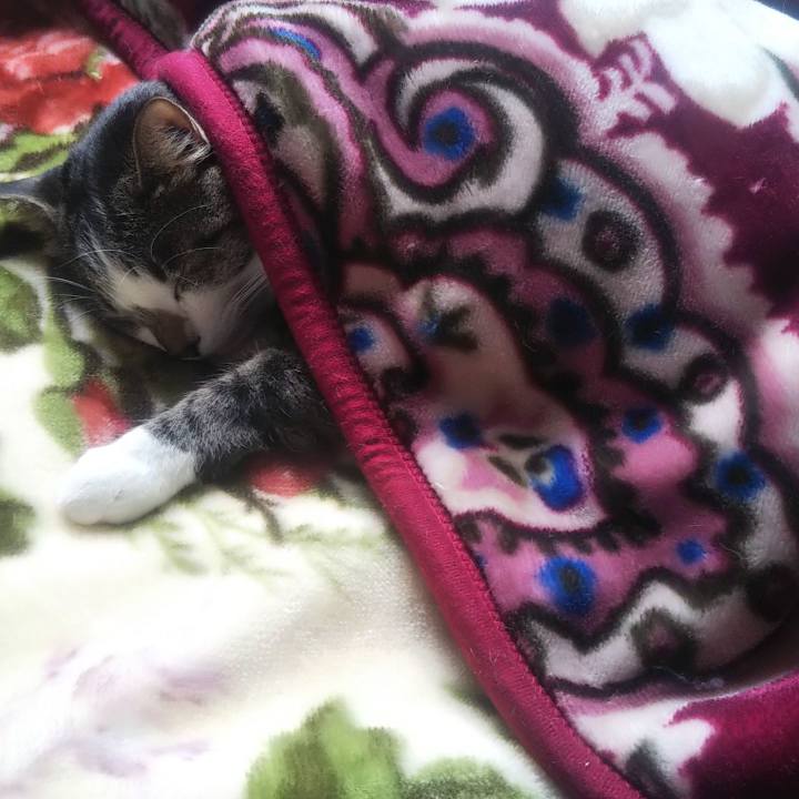 59dcc0aa 4f86 471b afca fbd76fdf5a4e 1638680311293