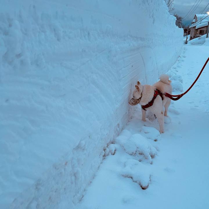 59dcf3b4 8ecb 4953 9fba 94ddfc2b3f1f 1706481395515