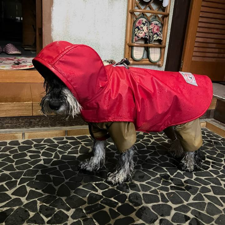 59dcfcb3 4753 4c71 89f1 119f10172504 1733578328306