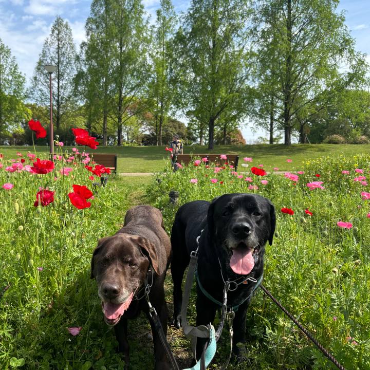 59dd7bdb 37ca 4a1c a0ec 35ed0f7dc89e 1776599011085