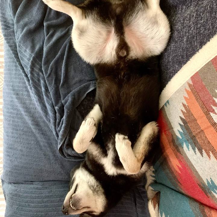 59dd8210 9c62 4c78 ac5f 79198ed9c2c6 1685929183788