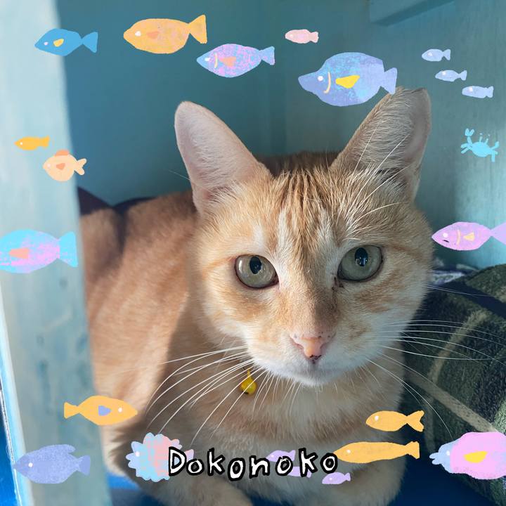 59ddaad0 de00 4702 82bd 23d3b42dc5d3 1755128429686