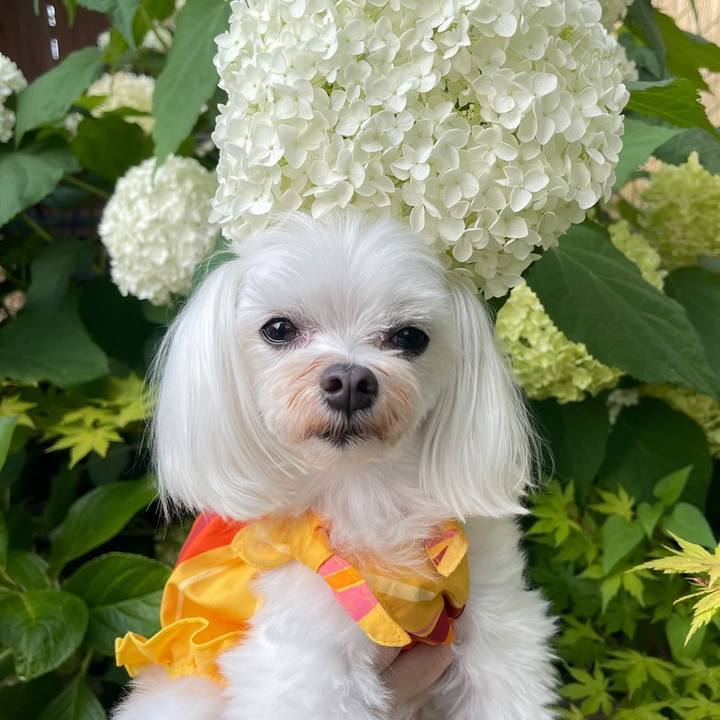 59ddf720 17aa 4c49 b3a7 6907f5992a0f 1656892967483