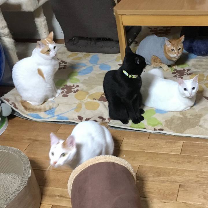 59de9fc2 c84c 4584 8819 d134226a9885 1523052242668