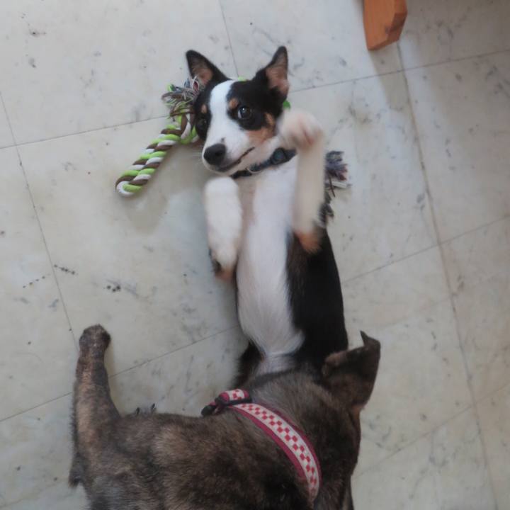 59dedfc5 7a98 45ab a8fb 6a24e6d244a1 1561846778285