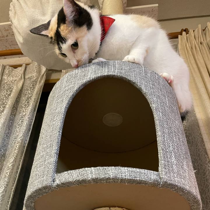 59dee0da e3bb 4dcb 93d7 c7d385ae605c 1723332446004