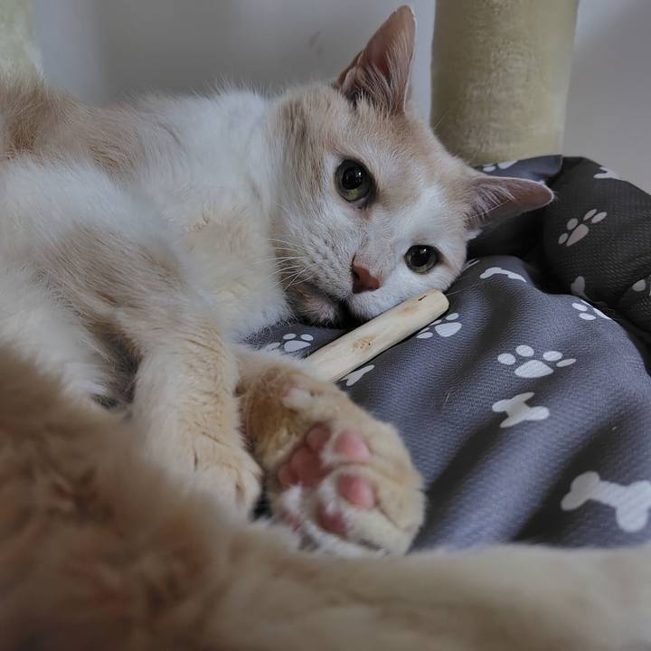 59dee661 ca69 463e a173 f9d11cce5821 1716379834259