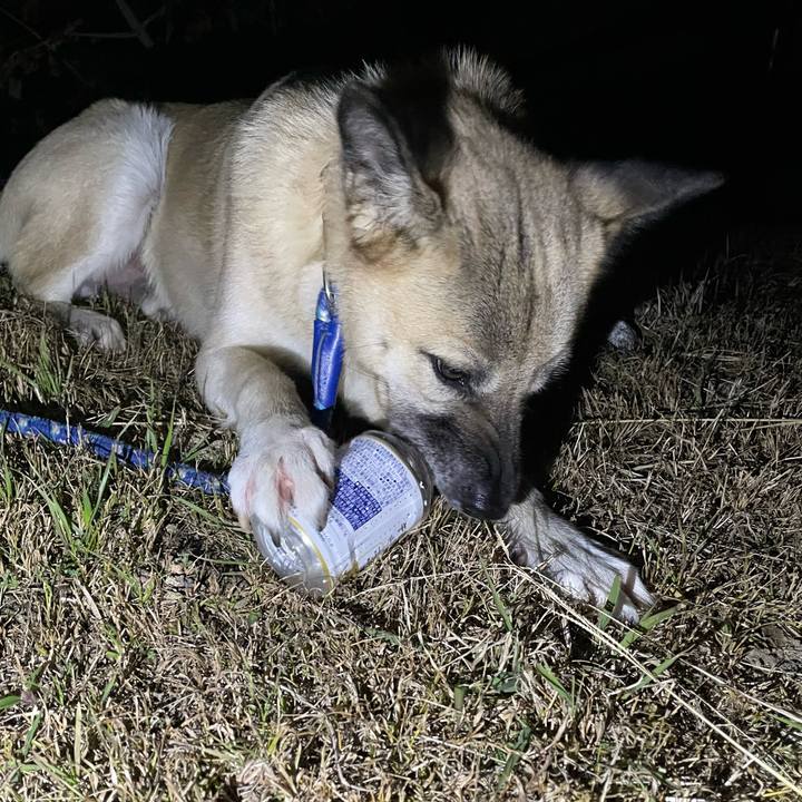 59df2065 6fbe 4b61 bda7 71bf3fea48be 1640694146691