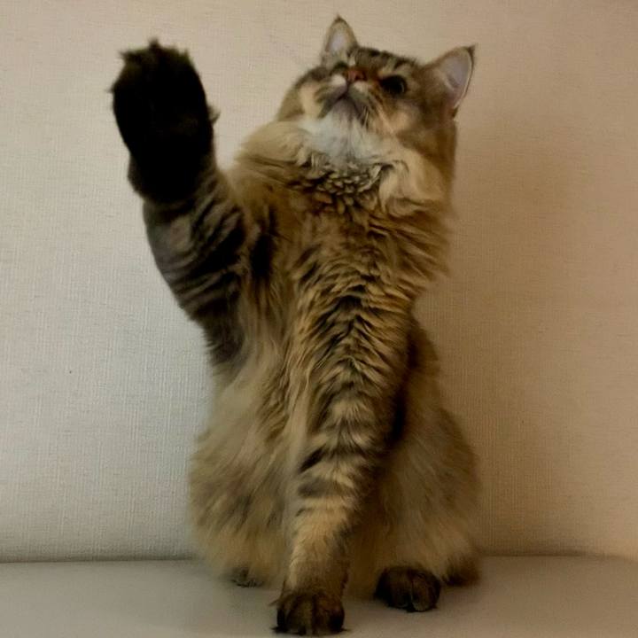 59df3c91 1205 416c 9235 4890ce102c9b 1753065164523