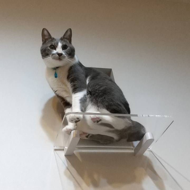 59df752d f00f 414b a468 86ec9a9fbfec 1639053721166