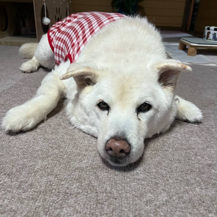 59df8040 2be6 4e1a 8e40 32e72e344a32 1769125018973