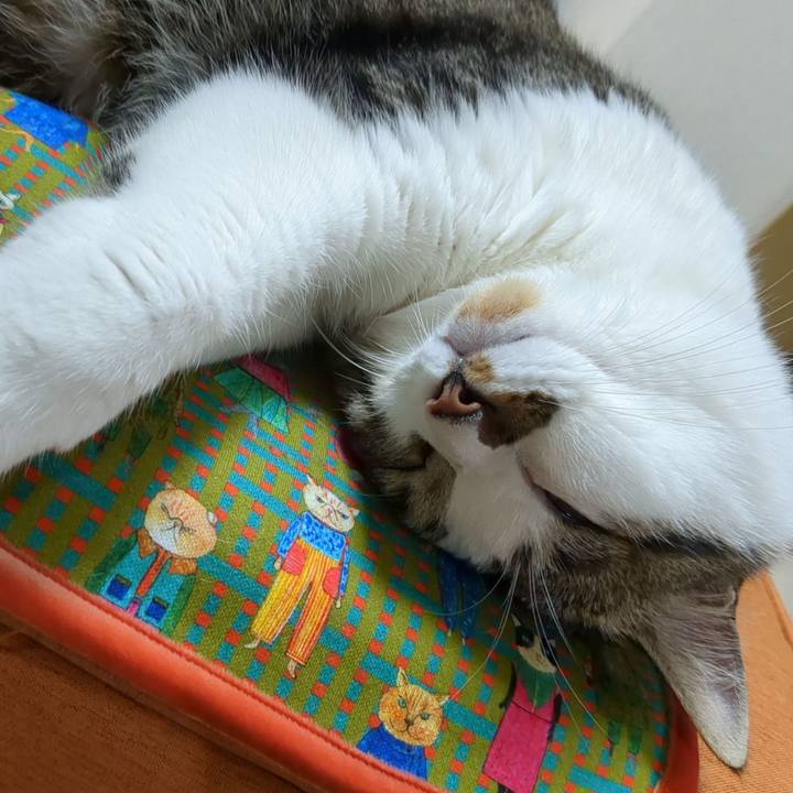 59dfa4a6 8e31 4471 a51c 55870915fa76 1685279153212