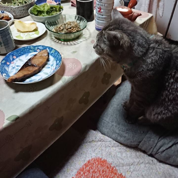 59dff15e d764 4d39 8727 4ba961efe29d 1574855858360