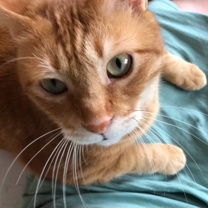 59e028b6 410f 4472 adcb fa4af0935146 1625900338991