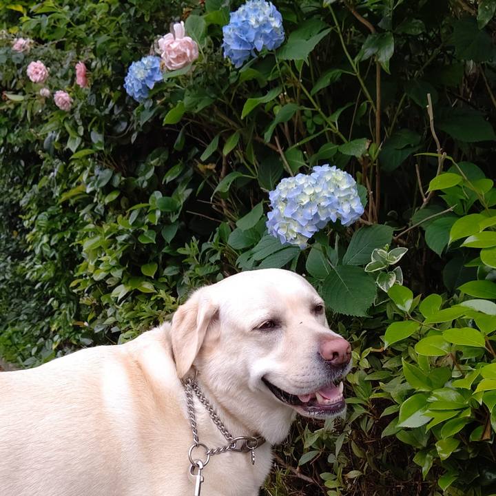 59e02a5e e1ce 4f6e acb0 0bc869af23c4 1591227225144