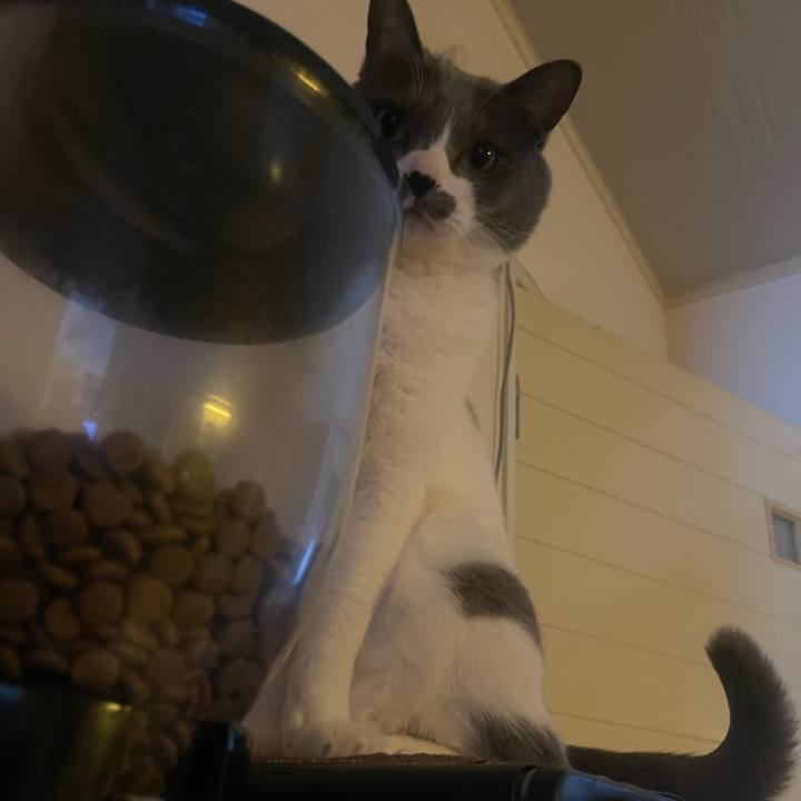 59e0c3e3 f949 4d86 8cfb 747f23911094 1739919431635