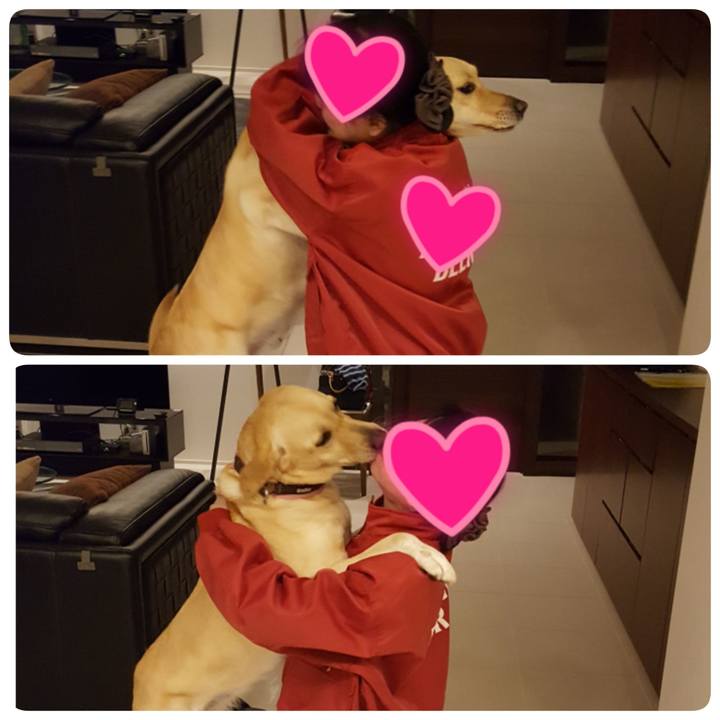 59e0ef3e 7fff 48ff ae0b 61b8d71dcba9 1517059379171