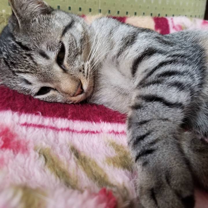 59e10067 fc50 4a66 b9e7 39784d93b224 1681176698951