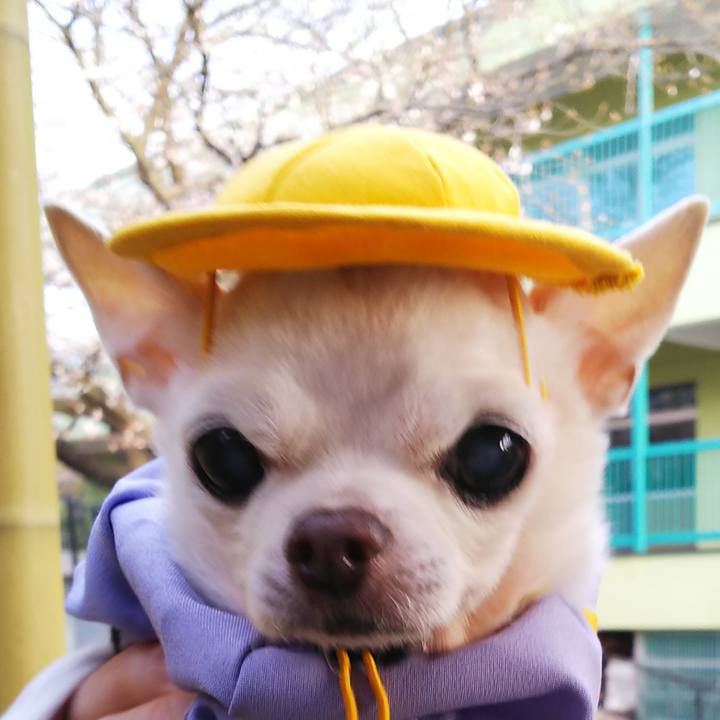 59e13343 ffe3 4e11 9d82 fe865de07a7b 1585088407009