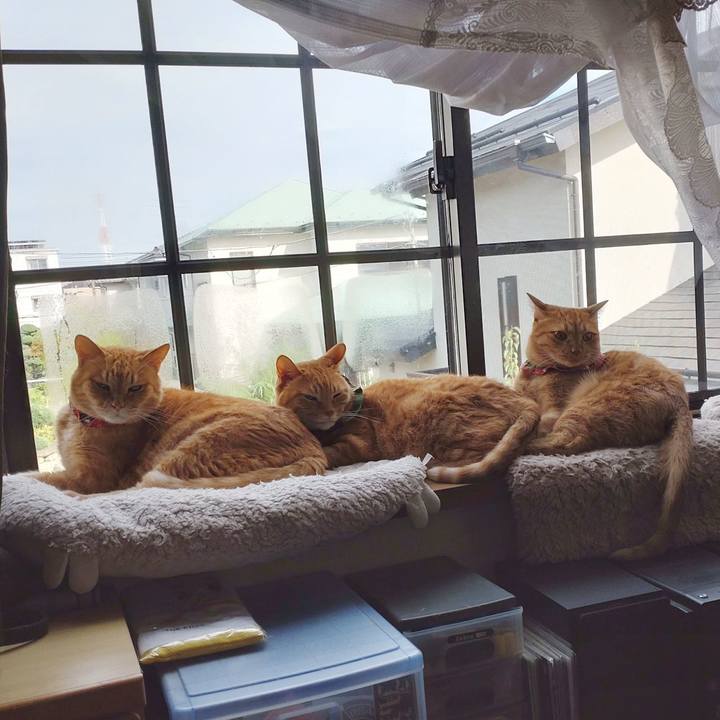 59e167ab 8fc5 4586 81a0 0213a5c51858 1663285043757