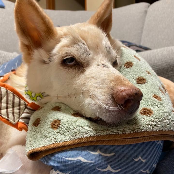 59e17254 b139 482b b784 cfc0de4293c8 1663720785437