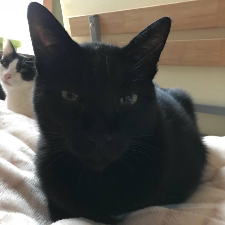 59e18f2a 71a6 42c1 ae3e 18eec0640f06 1508290459099