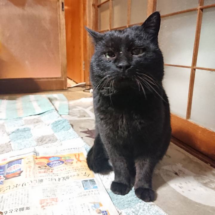 59e1bd39 16b3 46c7 ab34 abedb79f78a5 1647087859413