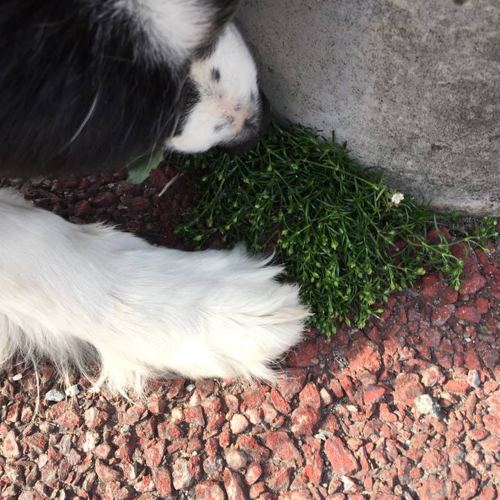 59e1d3fa 41eb 463a a973 5f2b25f1bc1d 1555116327861