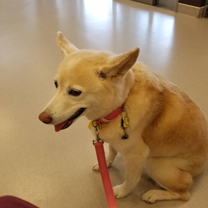 59e1ecaa 9ca8 4f68 bd9a 578cd28847eb 1565532102982