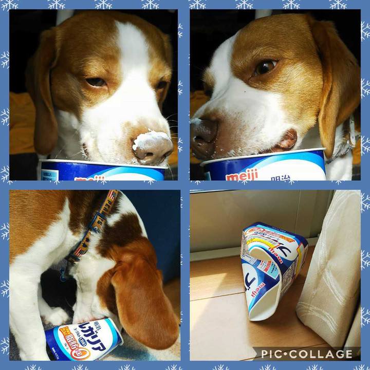 59e23c5b 26ed 410f 8e28 9b9643b031e4 1586253298362