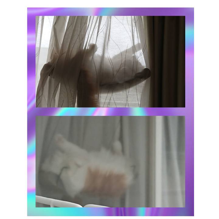 59e24ed8 bf94 4abf 8f3f 3439a61e9231 1589938908537