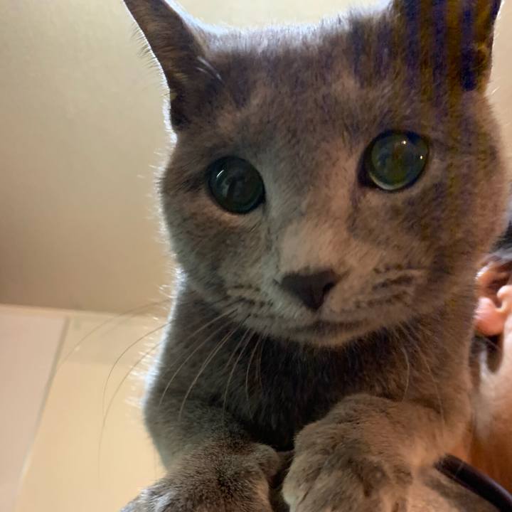 59e25a8f e67a 4334 b848 8cd936cc2407 1580102229535