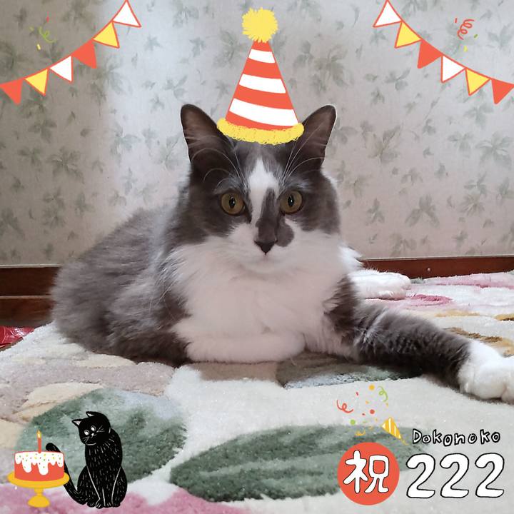 59e28150 4a2d 4aed b189 2ca9f2392f8d 1645502393241