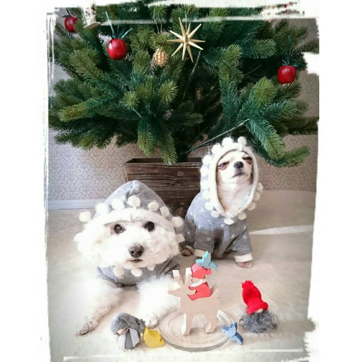 59e2f058 793a 40e4 a0fc c03474962638 1512567921288