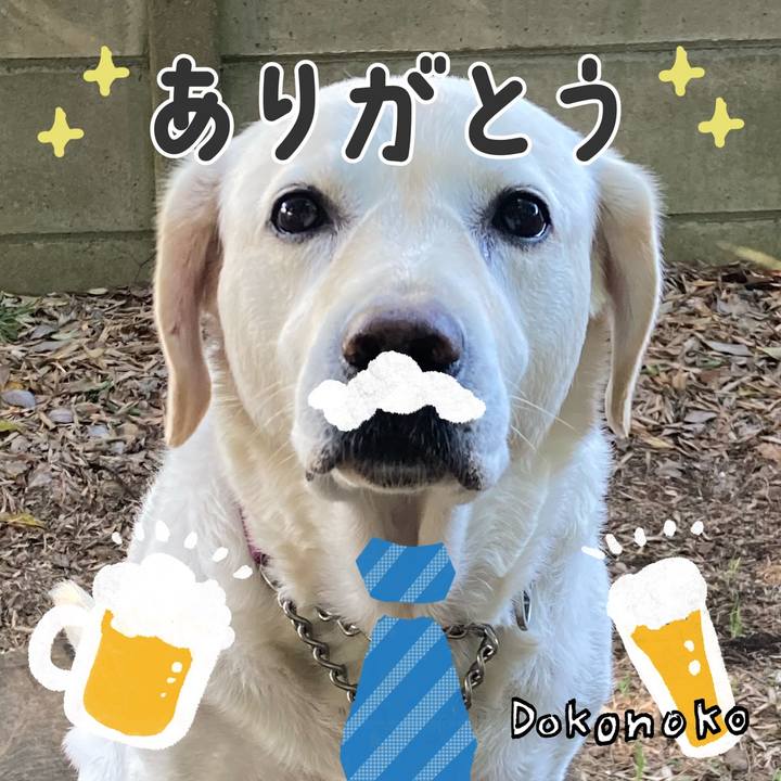 59e2f969 71a4 4d91 ae78 1859def92b7b 1718372193426