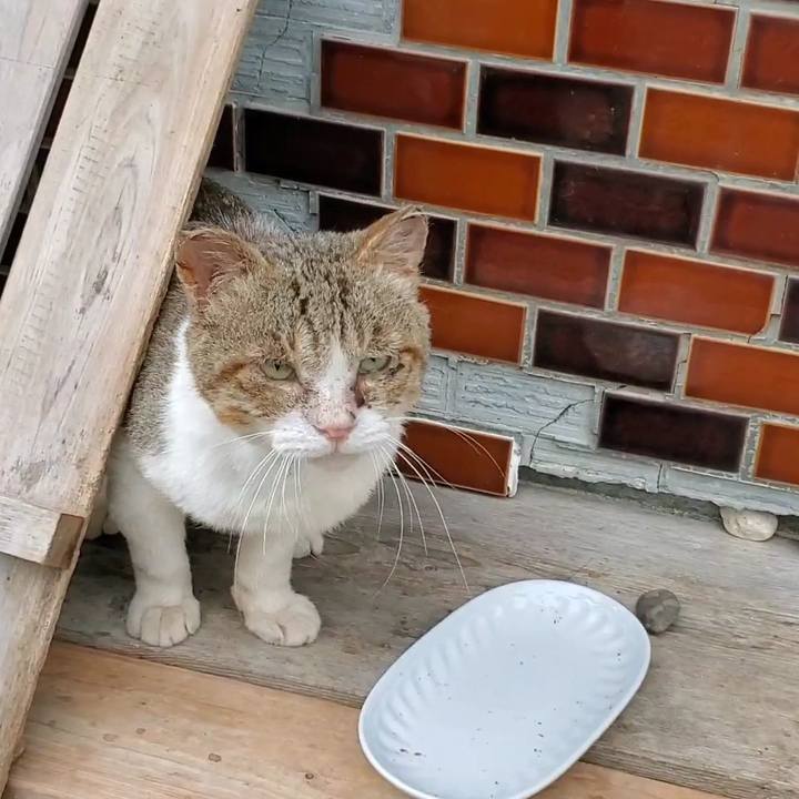 59e301c7 1def 434e b83f 36eb400eb25d 1722389352000