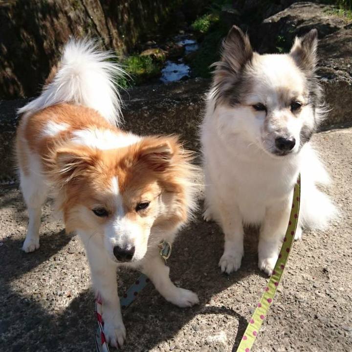 59e30aa2 331b 4276 b7b4 0ccac67d6cc3 1526815786300