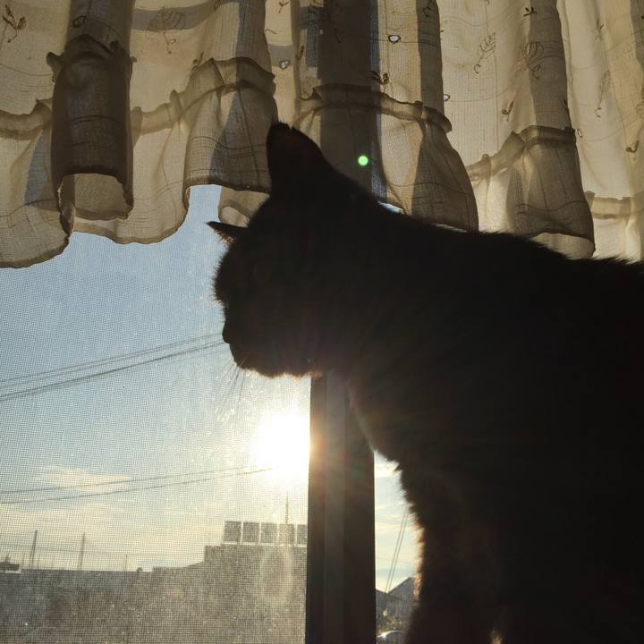 59e30e99 a1cf 46d1 8f42 ad7187f6b568 1509062309518