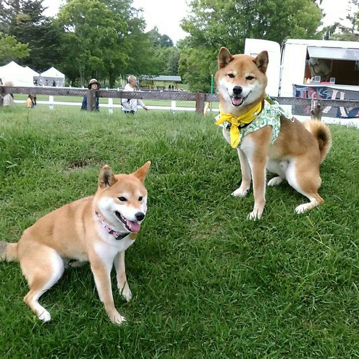 59e31888 33d3 4428 b8dc 99793d4e0595 1562416971946